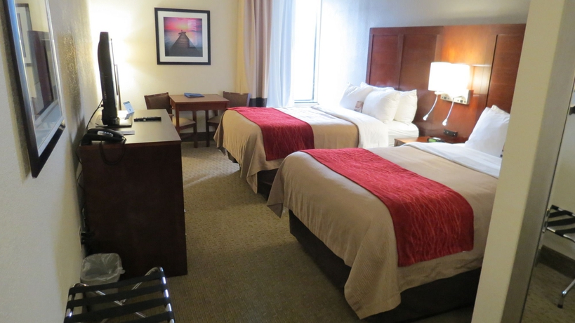 Imagen de la habitación del Hotel Comfort Inn University, Wilmington NC. Foto 11
