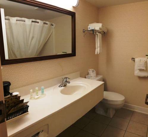 Imagen de la habitación del Hotel Comfort Inn Virginia Horse Center. Foto 3