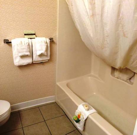 Imagen de la habitación del Hotel Comfort Inn Virginia Horse Center. Foto 4