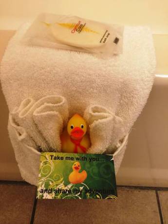 Imagen de la habitación del Hotel Comfort Inn Virginia Horse Center. Foto 5