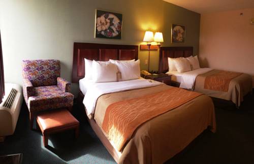 Imagen de la habitación del Hotel Comfort Inn Virginia Horse Center. Foto 6