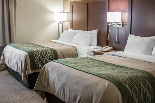 Imagen de la habitación del Hotel Comfort Inn Warren. Foto 2