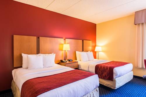 Imagen de la habitación del Hotel Comfort Inn Washington Dc Joint Andrews Afb. Foto 3