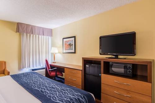 Imagen de la habitación del Hotel Comfort Inn Washington Dc Joint Andrews Afb. Foto 5