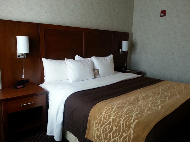 Imagen de la habitación del Hotel Comfort Inn Watsonville. Foto 4