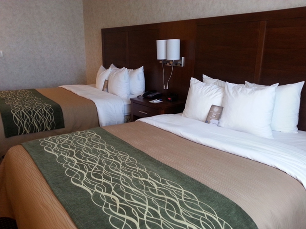 Imagen de la habitación del Hotel Comfort Inn Watsonville. Foto 7