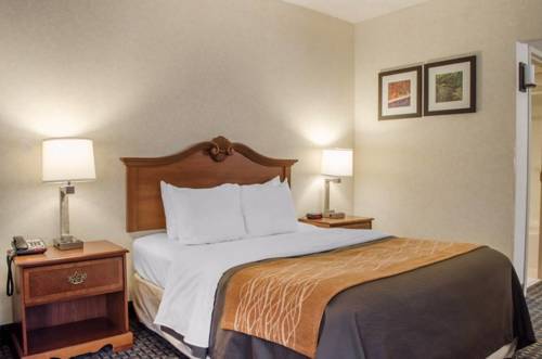 Imagen general del Hotel Comfort Inn West Hazleton. Foto 1