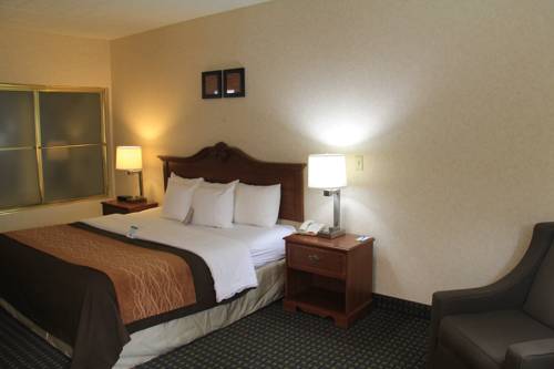 Imagen de la habitación del Hotel Comfort Inn West Hazleton. Foto 3