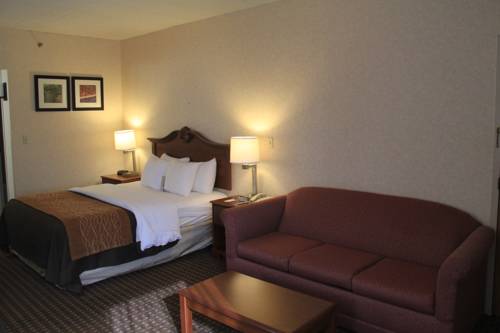 Imagen de la habitación del Hotel Comfort Inn West Hazleton. Foto 8