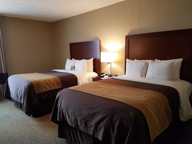 Imagen de la habitación del Hotel Comfort Inn Wethersfield - Hartford. Foto 5