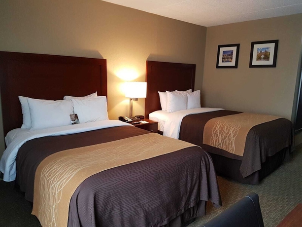 Imagen de la habitación del Hotel Comfort Inn Wethersfield - Hartford. Foto 6