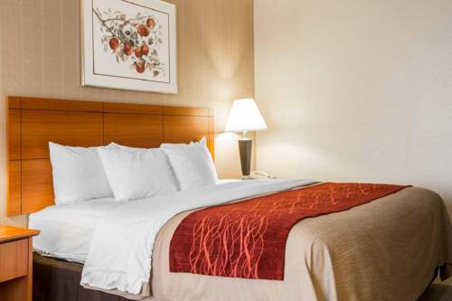 Imagen de la habitación del Hotel Comfort Inn, White River Junction. Foto 3