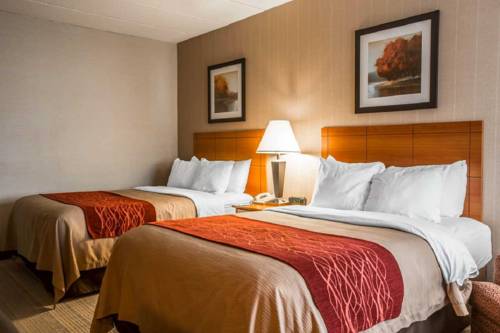 Imagen de la habitación del Hotel Comfort Inn, White River Junction. Foto 4