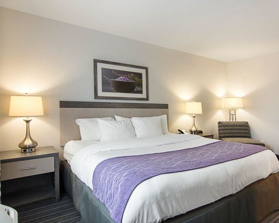 Imagen de la habitación del Hotel Comfort Inn Williamsburg Gateway. Foto 14