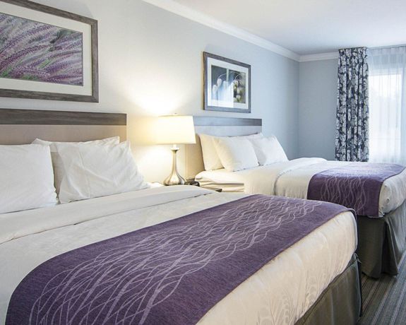 Imagen de la habitación del Hotel Comfort Inn Williamsburg Gateway. Foto 15