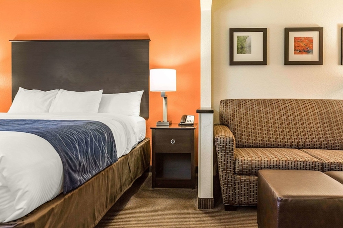 Imagen de la habitación del Hotel Comfort Inn Wings Stadium. Foto 5