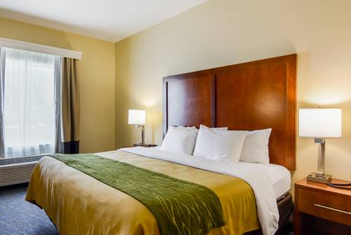 Imagen de la habitación del Hotel Comfort Inn Woodstock Shenandoah. Foto 4