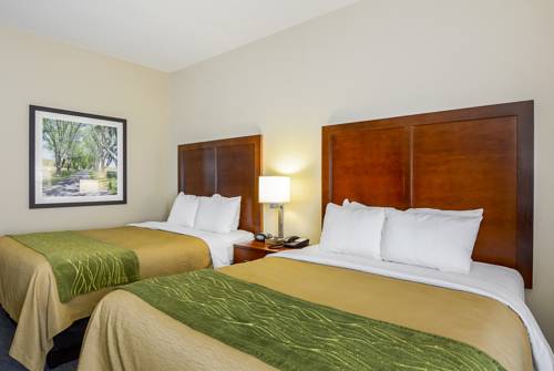 Imagen de la habitación del Hotel Comfort Inn Woodstock Shenandoah. Foto 7