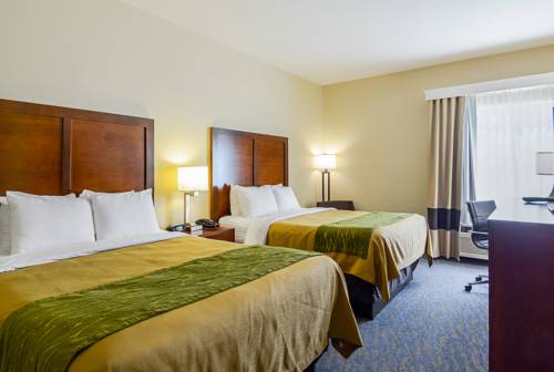Imagen de la habitación del Hotel Comfort Inn Woodstock Shenandoah. Foto 10