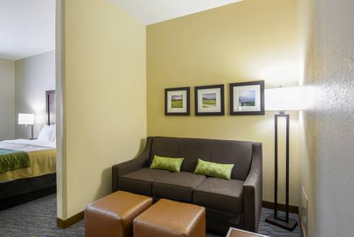 Imagen de la habitación del Hotel Comfort Inn Woodstock Shenandoah. Foto 15