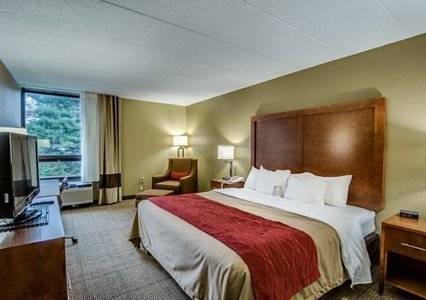 Imagen de la habitación del Hotel Comfort Inn Wytheville. Foto 12