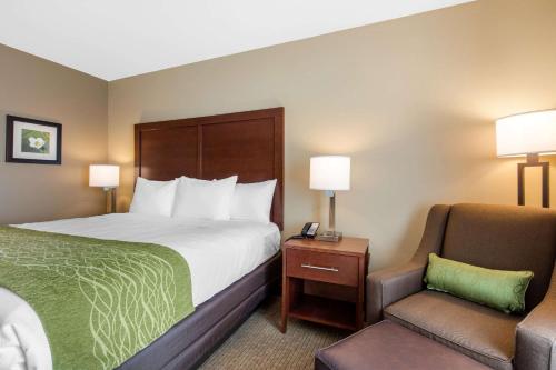 Imagen general del Hotel Comfort Inn & Suites At Crossplex Village. Foto 5