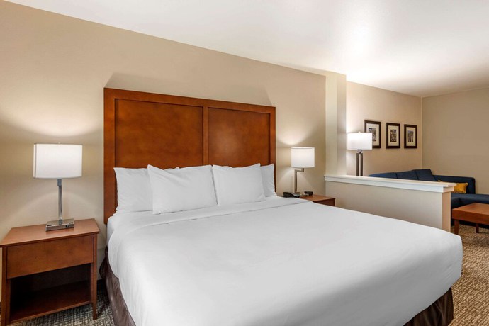 Imagen de la habitación del Hotel Comfort Inn & Suites Charlottesville Hollymead Town Center. Foto 10