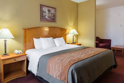 Imagen de la habitación del Hotel Comfort Inn & Suites Chesapeake. Foto 12