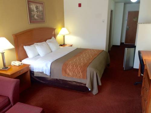 Imagen de la habitación del Hotel Comfort Inn & Suites Chesapeake. Foto 13