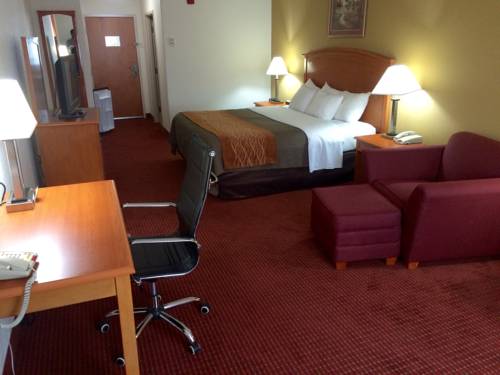 Imagen de la habitación del Hotel Comfort Inn & Suites Chesapeake. Foto 14