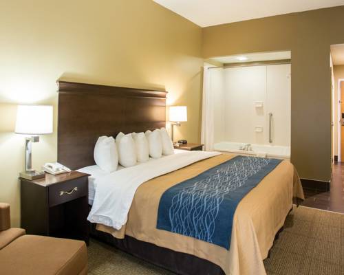 Imagen de la habitación del Hotel Comfort Inn & Suites Cookeville. Foto 5