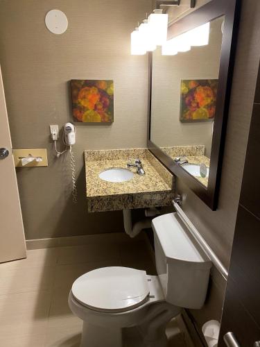 Imagen general del Hotel Comfort Inn & Suites Danbury-Bethel. Foto 7