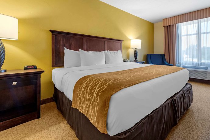 Imagen de la habitación del Hotel Comfort Inn & Suites Dover. Foto 8