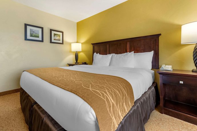 Imagen de la habitación del Hotel Comfort Inn & Suites Dover. Foto 10