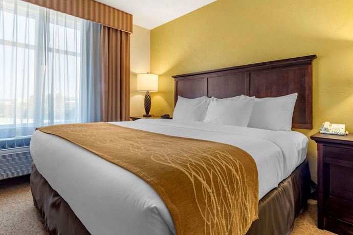 Imagen de la habitación del Hotel Comfort Inn & Suites Dover. Foto 11
