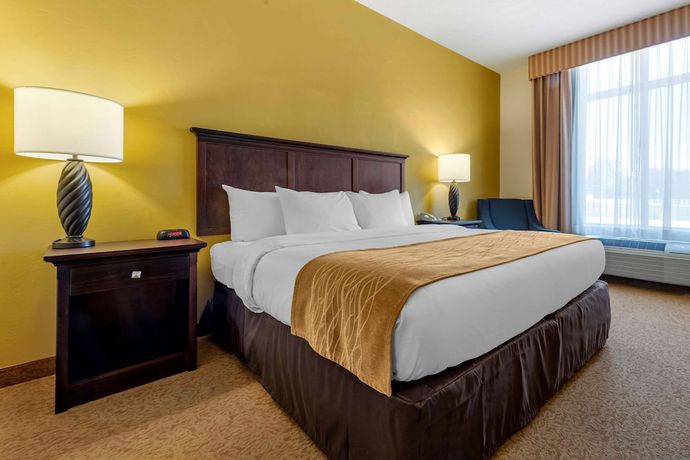 Imagen de la habitación del Hotel Comfort Inn & Suites Dover. Foto 14