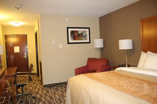 Imagen general del Hotel Comfort Inn & Suites Edmonton International Airpor. Foto 1