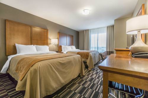 Imagen de la habitación del Hotel Comfort Inn & Suites Edmonton International Airpor. Foto 7