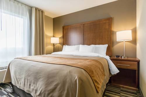 Imagen de la habitación del Hotel Comfort Inn & Suites Edmonton International Airpor. Foto 8