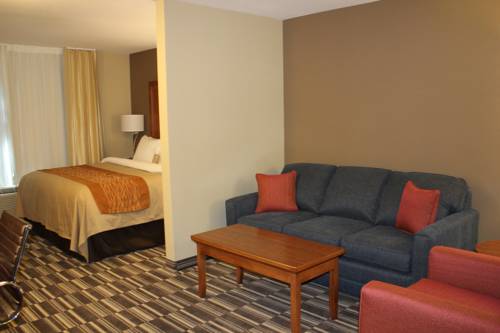 Imagen de la habitación del Hotel Comfort Inn & Suites Edmonton International Airpor. Foto 10