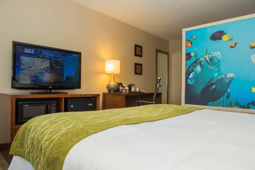 Imagen de la habitación del Hotel Comfort Inn & Suites Erie. Foto 8