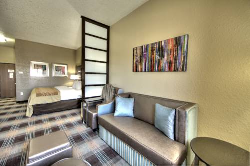 Imagen de la habitación del Hotel Comfort Inn & Suites Fort Worth. Foto 5