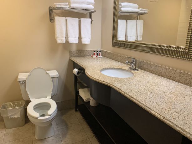 Imagen de la habitación del Hotel Comfort Inn & Suites Gainesville. Foto 5