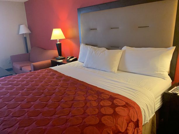Imagen de la habitación del Hotel Comfort Inn & Suites Gainesville. Foto 6