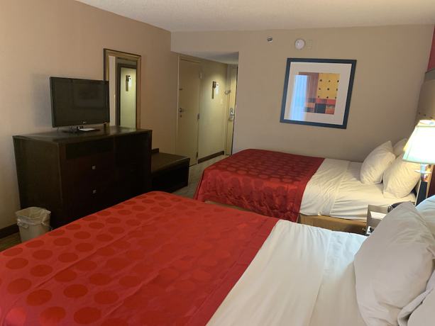 Imagen de la habitación del Hotel Comfort Inn & Suites Gainesville. Foto 7