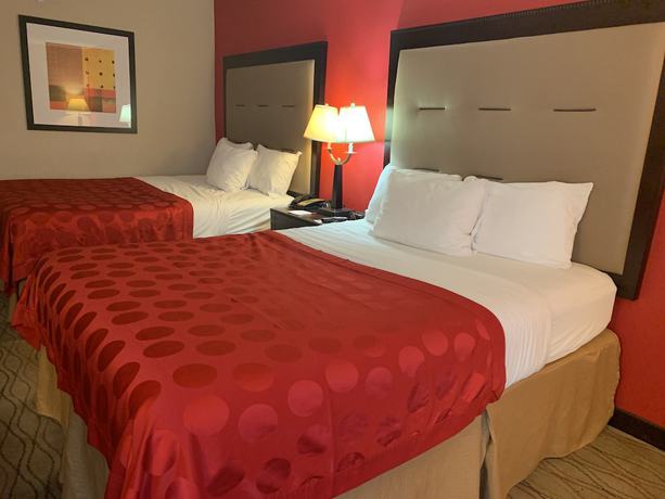 Imagen de la habitación del Hotel Comfort Inn & Suites Gainesville. Foto 8