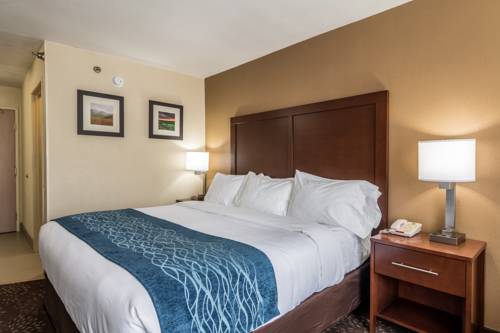 Imagen de la habitación del Hotel Comfort Inn & Suites Hannibal. Foto 5