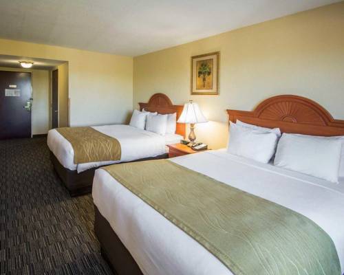 Imagen de la habitación del Hotel Comfort Inn & Suites Jupiter. Foto 6
