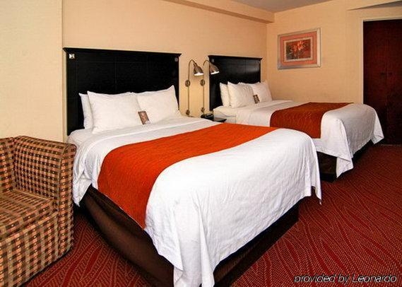 Imagen general del Hotel Comfort Inn & Suites LaGuardia Airport. Foto 1