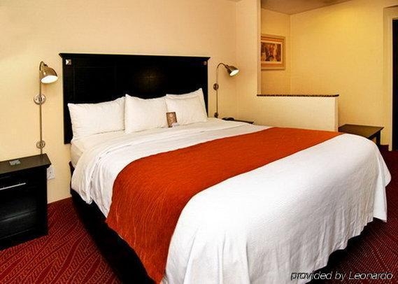 Imagen general del Hotel Comfort Inn & Suites LaGuardia Airport. Foto 13
